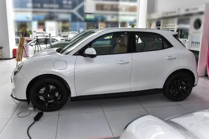 Used Car Prices for Great Wall Motor Euler Good Cat 2024 401km Comfort Model