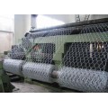 Hot-dipped Galvanized Wire Netting Hexagonal Wire Netting - Weave before Hot-dipped Galvanized Supplier