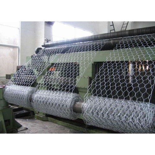 Hot-dipped Galvanized Wire Netting Hexagonal Wire Netting - Weave before Hot-dipped Galvanized Supplier