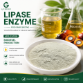 Aplicaciones industriales de procesamiento de alimentos, hidrólisis de lípidos, enzima lipasa