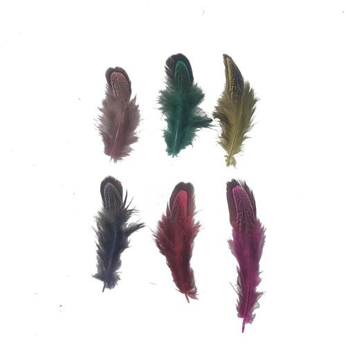 Feather di fagiano tinto di vendita calda