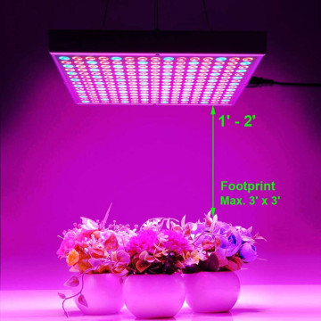 45W Panel Grow light full spectrum