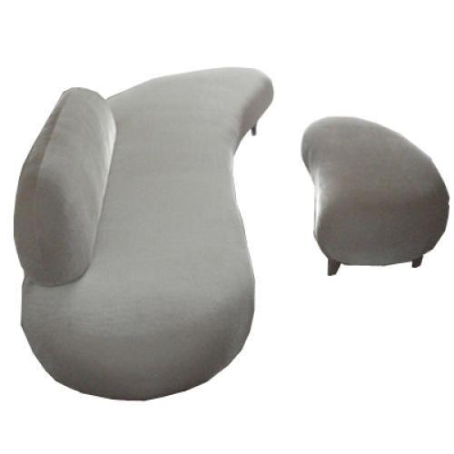 Noguchi Freeform Sofa and Ottoman