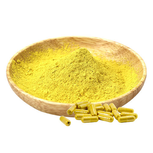 CAS 528-48-3 otinus coggygria extract fisetin 98% powder