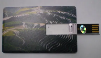 Card USB Flash Drive