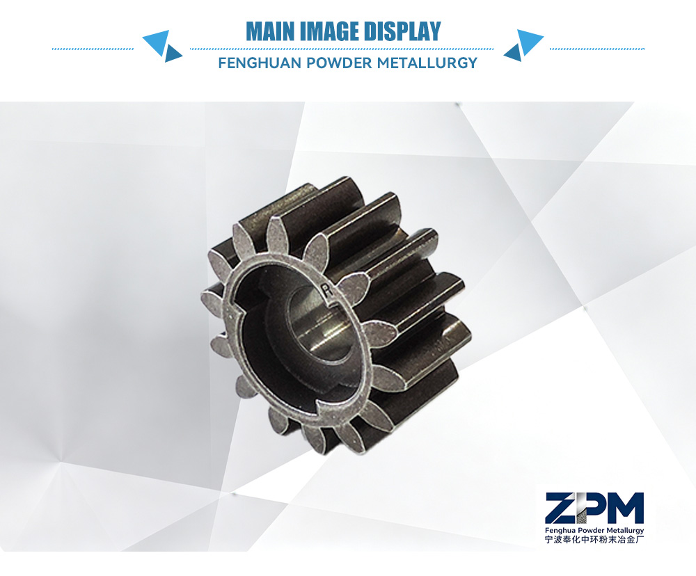 Spur Gear-x