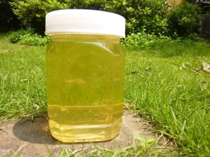cream white granulated bee honey