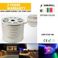 Brightness LED Flexible Rope Light