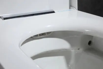 Floor mounted new style electronic intelligent toilet