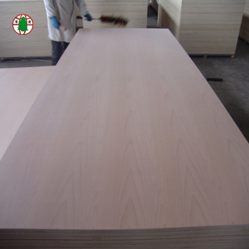 Madera contrachapada de roble de primera clase para muebles