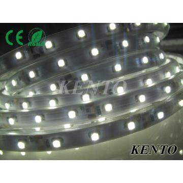 High Lumen 12volt  SMD3528 Indoor White Led Strip Lights,120pcs/meter