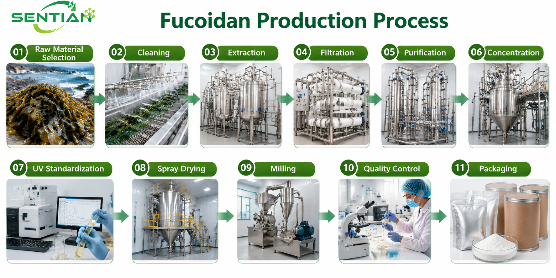 Fucoidan 1