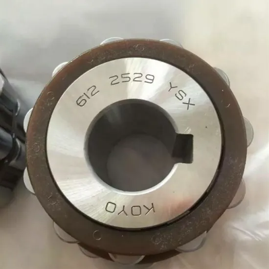 Cylindrical Roller Bearing 22*58*32mm Double Row Brass Cage Eccentric Trans6111115