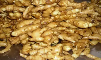 export fat fresh ginger