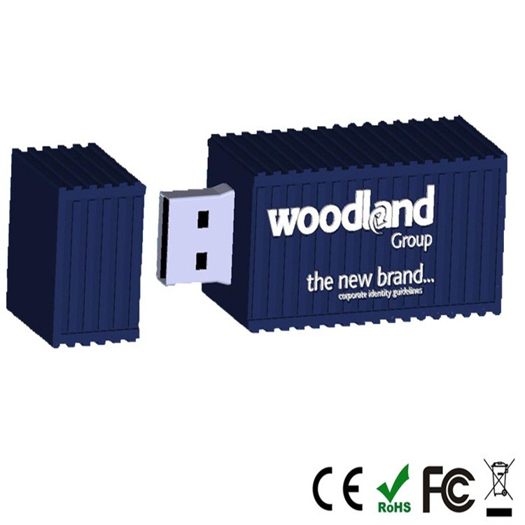 Usb Flash Drive Custom Logo