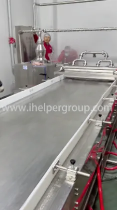 Mozzarella Processing Equipment