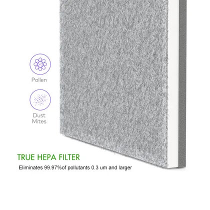 Compatible Hepa Filter for TaoTronics TT-AP007 Air Purifier