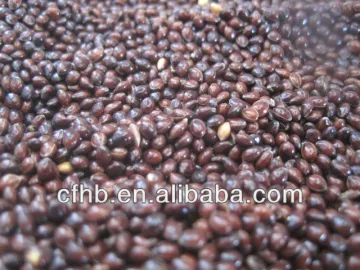 Yellow Millet In Husk (Glutinous)