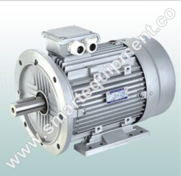 Y2 Series Three Phase Motor