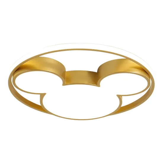 INSHINE Led Home Ceiling Lights