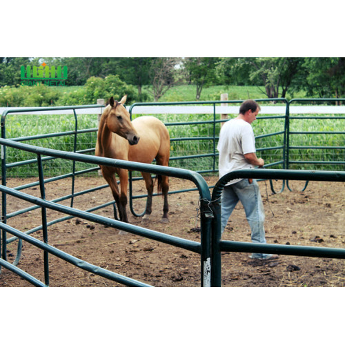 baratos paneles de la cerca del caballo