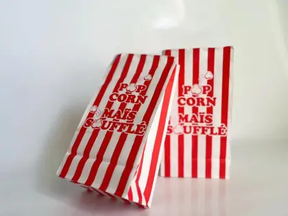 Biodegradable Bag Food Packaging