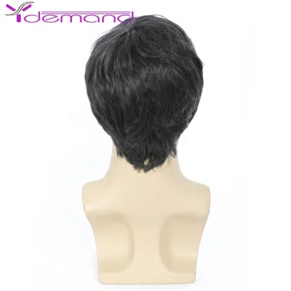 Y Demand Middle-Aged And Elderly Wigs Short Hair Fluffy Wig Straight Black And Gray Mixed Color Wholesale Synthetic Handsome