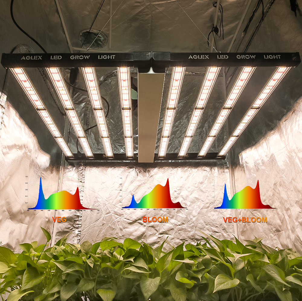 Hydroponics Greenhouse Termurah 1000W LED Grow Lights