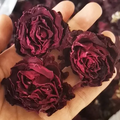 Wholesale High-Quality Dried Crimson Glory Rose Tea - 100% Natural Dark Red Rose Bud Tea