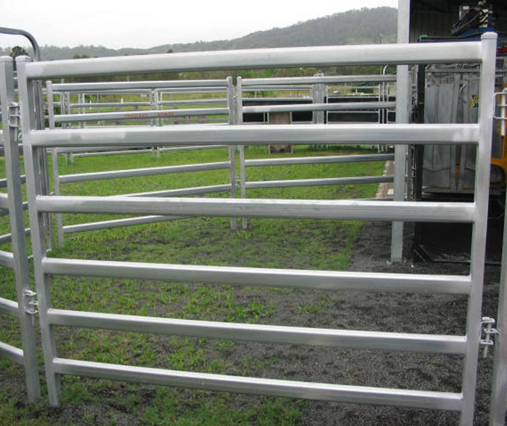 Livestock panels cattle fence