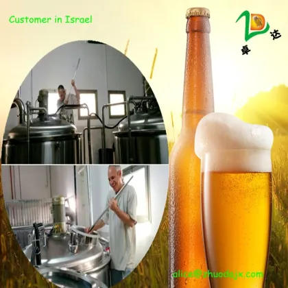 500L pilot brewing equipment