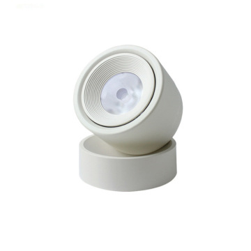 Sorotan LED Downlight Rotating Downlight 360 derajat