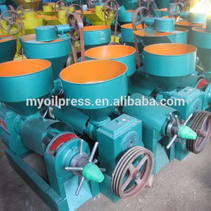 castor oil cold pressed oil extraction machine