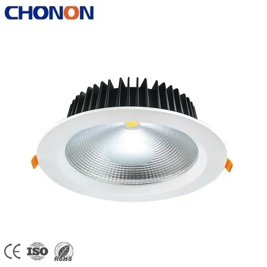 30W LED COB Downlight: Commercial Indoor Round Spot Recessed Lighting