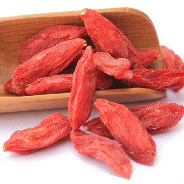 Nutritivo rojo bayas de goji