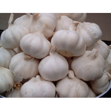 অর্গানিক রসুন শুকনো রসুন সমৃদ্ধ অ্যালিসিনের দাম