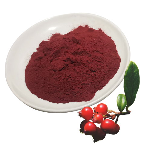 Lingonberry Extract(Lingonberry fruit Powder)