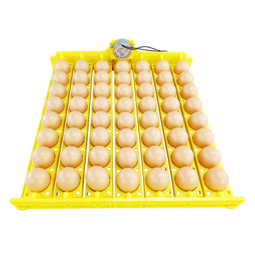 Flower Basket Egg Tray with Turner Motor for Incubators
