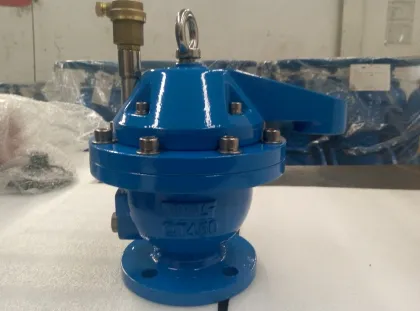 DN100 Air Release Valve - Quick Vent Valve PN16 for Water Industry OEM