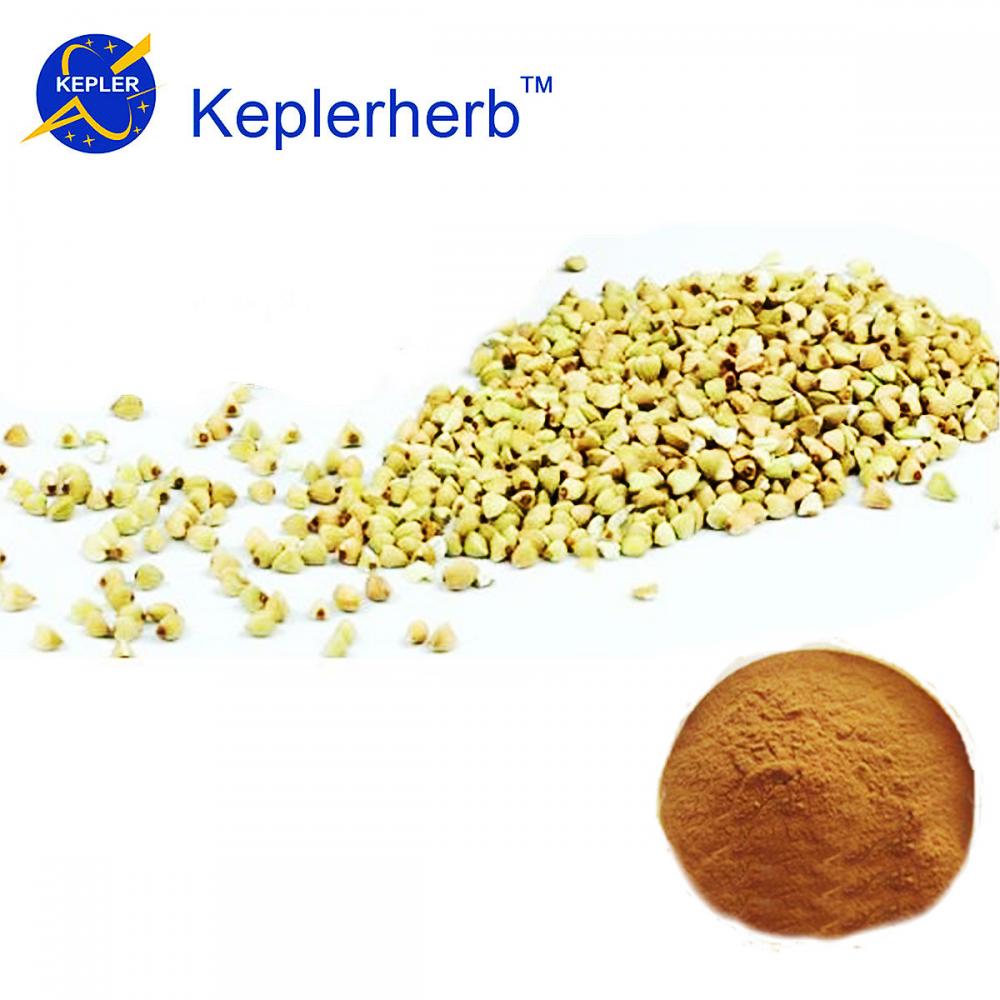 Buckwheat extract factory supply