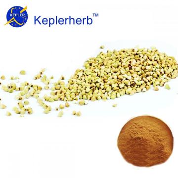 Buckwheat extract factory supply