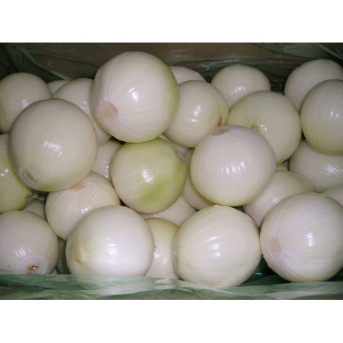 হলুদ peeled পেঁয়াজ দাম