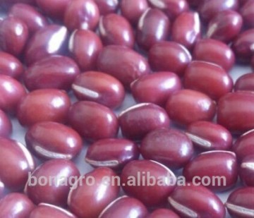 Chinese adzuki bean,4-9mm