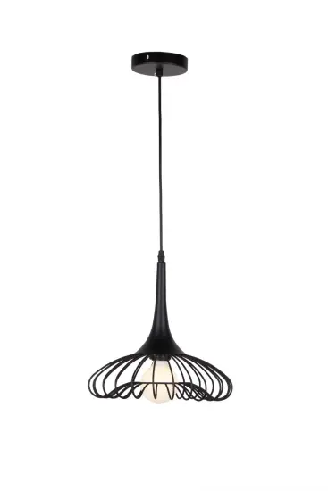 Modern Simple Decorative Droplight Pendant Lamp