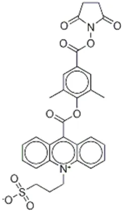 NSP-DMAE-NHS CAS 194357-64-7