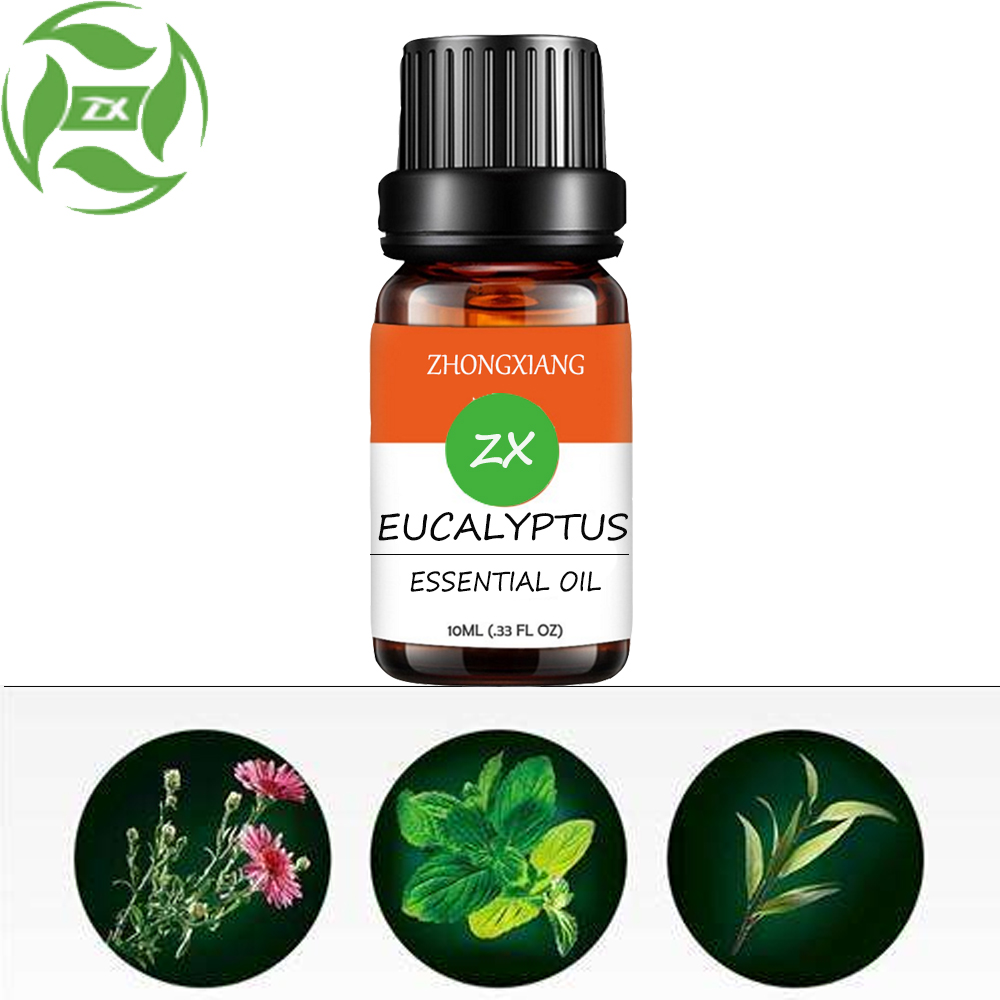 Huile essentielle d&#39;eucalyptus biologique de vente chaude