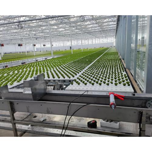 Multi-Crop Seedling Greenhouse