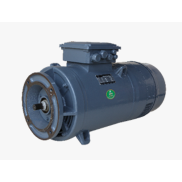 টাওয়ার ক্রেন উত্তোলন ইন্ডাকশন মোটর