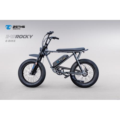 Electric Moto Bike Electric bicycle for adult Rocky Factory