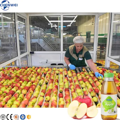Small Apple Juice Production Line for Concentrated Apple Juice